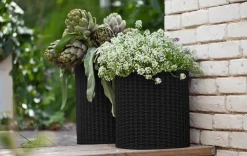 Cylinder Planter Set of 3 - Black