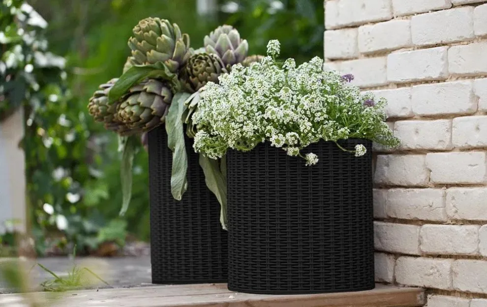 Cylinder Planter Set of 3 - Black