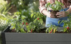 Darwin 29 Gallon Elevated Garden Bed - Graphite