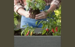 Darwin 29 Gallon Elevated Garden Bed - Graphite