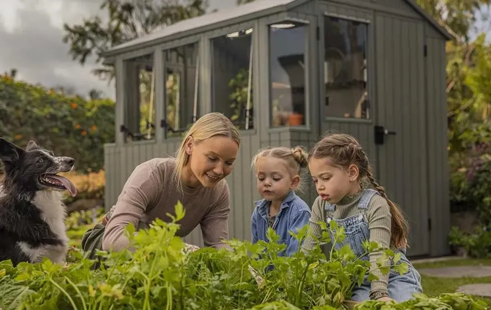 Darwin 6x8 Potting Shed - Green