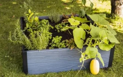 Maple Raised Garden Bed - Graphite
