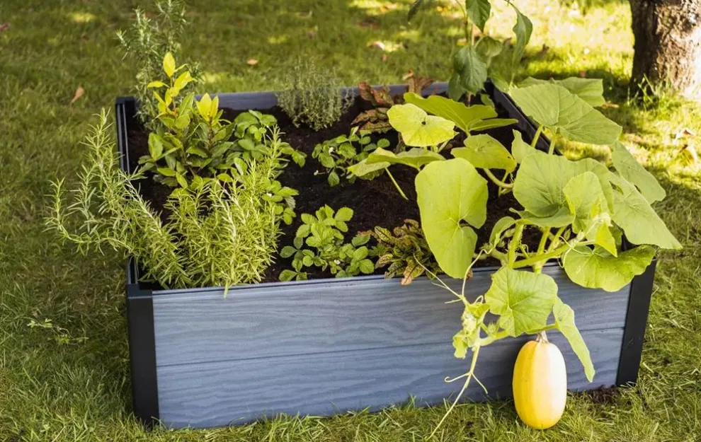 Maple Raised Garden Bed - Graphite