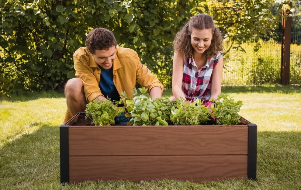 Maple Raised Garden Bed - Brown