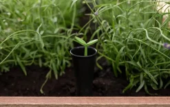 Signature 29 Gallon Elevated Garden Bed - Ashwood Brown