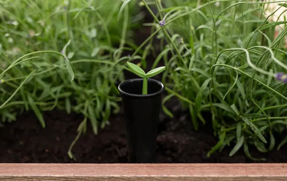 Signature 29 Gallon Elevated Garden Bed - Ashwood Brown