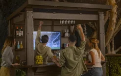 Signature 7.5x6.5 Bar Gazebo - Pine Brown