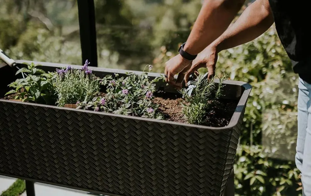 Splendor 31.7 Gallon Elevated Garden Bed - Brown