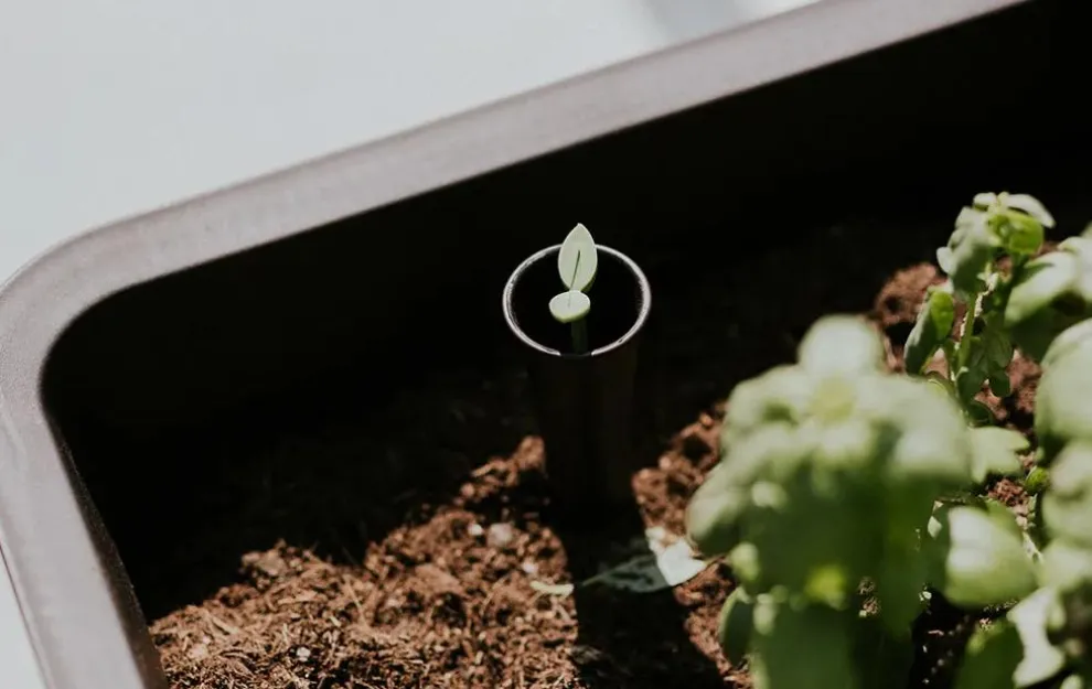 Splendor 31.7 Gallon Elevated Garden Bed - Brown