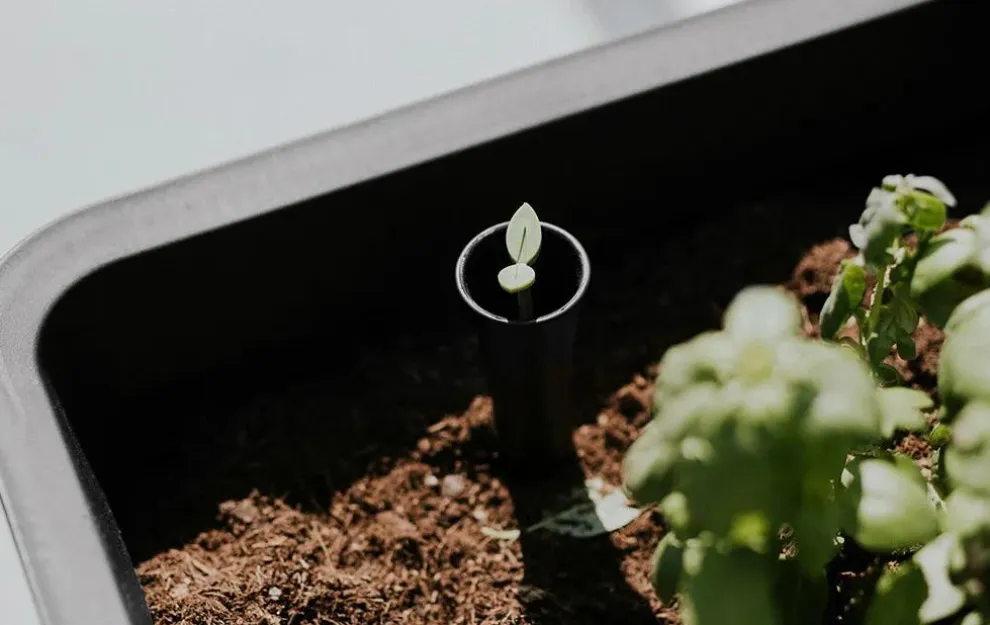 Splendor 31.7 Gallon Elevated Garden Bed - Graphite