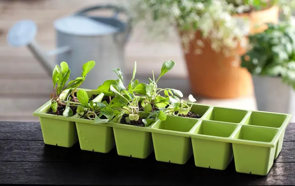 Urban Bloomer 12.7 Gallon Elevated Garden Bed - Graphite